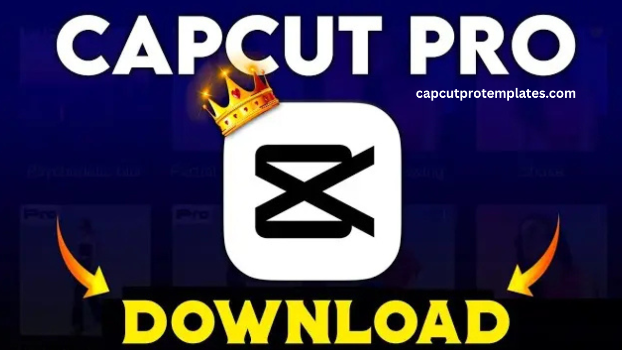CapCut Pro Interface